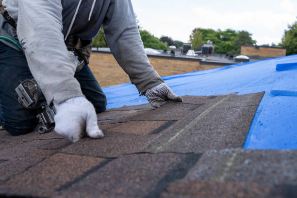 Roof Gutter Cleaning in Port Arthur, TX